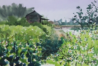 Fields in Yan Ping 60x40