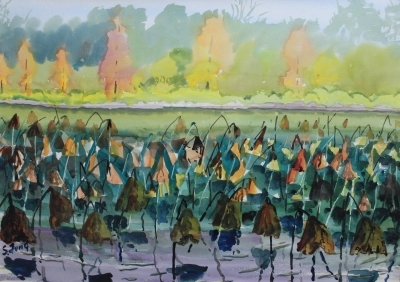 Lotus Pond 80x50